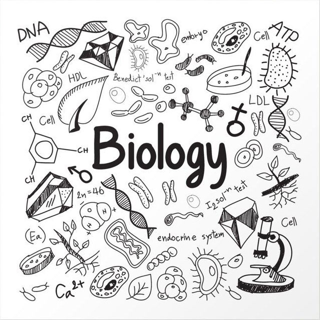 Biology
